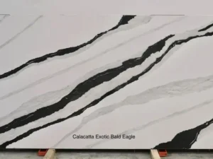 Calacatta Exotic Bald Eagle